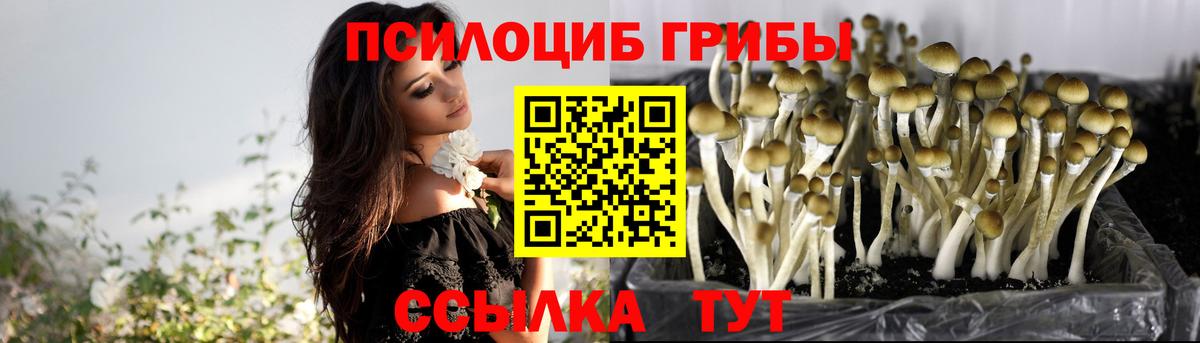 Галлюциногенные грибы мицелий  Вход с VPN  Камышин  Галлюциногенные грибы прущие грибы 